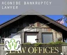 Aconibe  bankruptcy lawyer