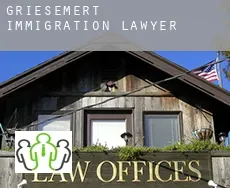 Griesemert  immigration lawyer