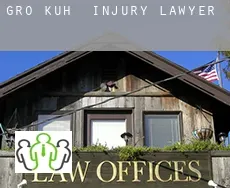 Groß Kuh  injury lawyer