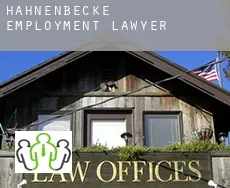 Hahnenbecke  employment lawyer