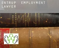 Entrup  employment lawyer