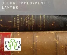 Juuka  employment lawyer
