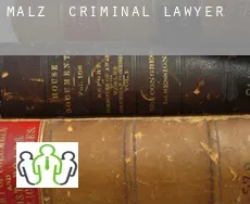 Malz  criminal lawyer