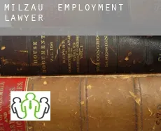 Milzau  employment lawyer