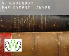 Schenkendorf  employment lawyer