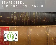 Starsiedel  immigration lawyer