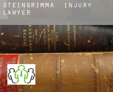 Steingrimma  injury lawyer