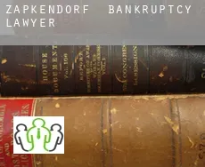 Zapkendorf  bankruptcy lawyer