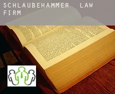 Schlaubehammer  law firm