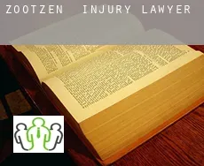 Zootzen  injury lawyer