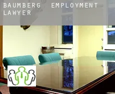 Baumberg  employment lawyer