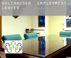 Holthausen  employment lawyer