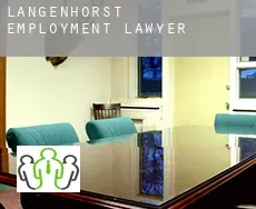 Langenhorst  employment lawyer