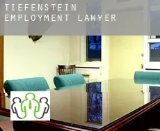 Tiefenstein  employment lawyer