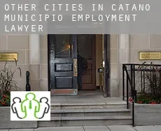 Other cities in Catano Municipio  employment lawyer