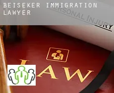 Beiseker  immigration lawyer