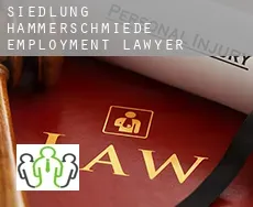 Siedlung Hammerschmiede  employment lawyer