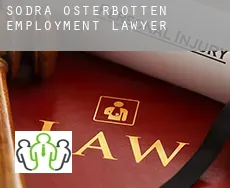 Södra Österbotten  employment lawyer