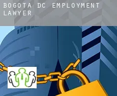 Bogota D.C.  employment lawyer