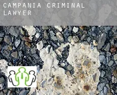 Campania  criminal lawyer