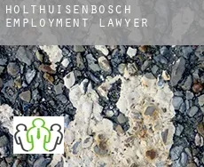 Holthuisenbosch  employment lawyer