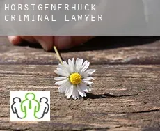 Hörstgenerhuck  criminal lawyer