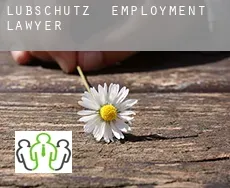 Lübschütz  employment lawyer