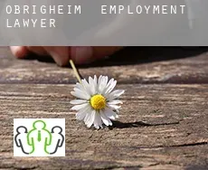 Obrigheim  employment lawyer