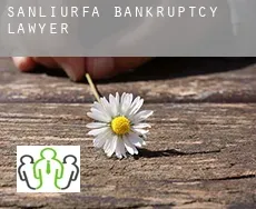 Şanlıurfa  bankruptcy lawyer