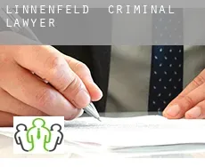 Linnenfeld  criminal lawyer