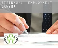 Steinkuhl  employment lawyer