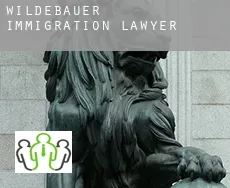 Wildebauer  immigration lawyer