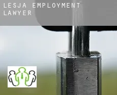 Lesja  employment lawyer