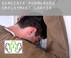 Gemeente Purmerend  employment lawyer