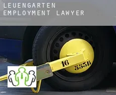 Leuengarten  employment lawyer