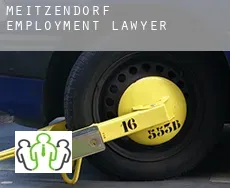 Meitzendorf  employment lawyer