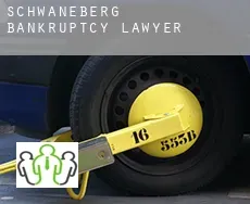 Schwaneberg  bankruptcy lawyer