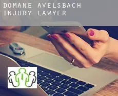 Domäne Avelsbach  injury lawyer