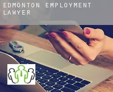 Edmonton  employment lawyer