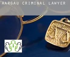 Aargau  criminal lawyer