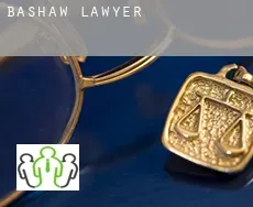 Bashaw  lawyer