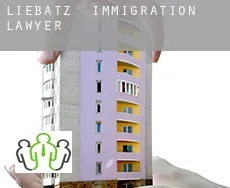 Liebätz  immigration lawyer