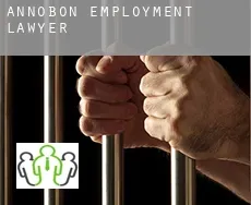 Annobón  employment lawyer