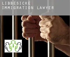 Libbesicke  immigration lawyer