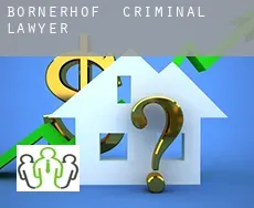 Bornerhof  criminal lawyer