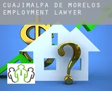 Cuajimalpa  employment lawyer