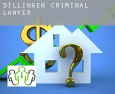 Dillingen  criminal lawyer