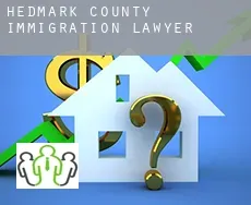 Hedmark county  immigration lawyer