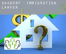 Saxdorf  immigration lawyer