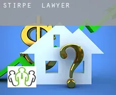 Stirpe  lawyer